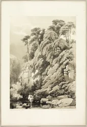 Wych Elm and Firs, fra The Park and the Forest
