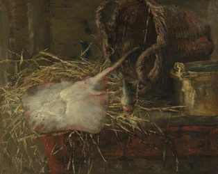 Rokke