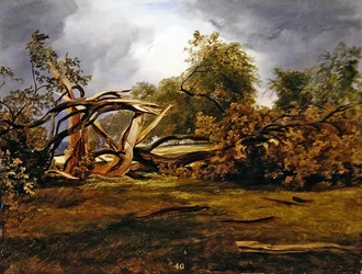 The Blasted Oak (olie om bord)