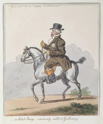 A Scotch Poney, almindeligvis kaldet en Galloway, udgivet af Hannah Humphrey i 1803 (håndfarvet radering)