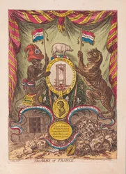 The Arms of France, pub. 1805 (håndfarvet gravering)