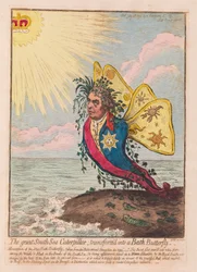 The Great South Sea Caterpillar, omdannet til en Bath Butterfly, pub. 1792 (håndfarvet gravering)