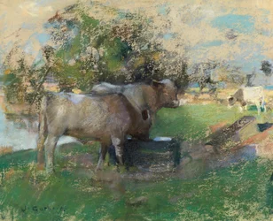 Græsmark (pastel på papir)