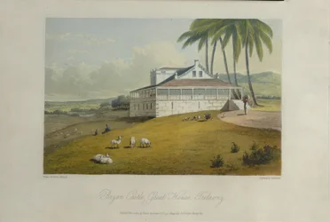 Bryan Castle, illustration fra 