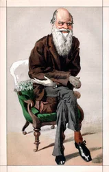 Portræt af Charles Darwin