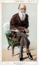 Naturligt udvalg, 1871.