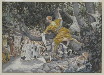 Zakæus i morbærfigentræet, der venter på Jesu komme, illustration fra Vor Herre Jesu Kristi liv, 1886-96