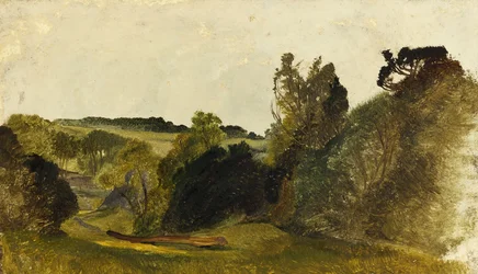 Leigh Wood (olie på kort)
