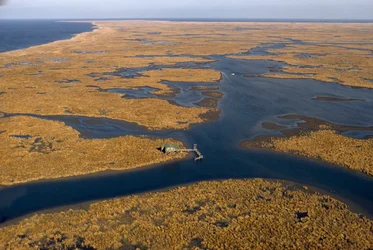 En østershøsters hus på pæle ligger over et stort område med sumpgræs. Fra luften, Missi...