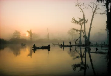 Oktobersolen brænder morgentågen væk over Alligator Bayou i Louisianas delta, så...