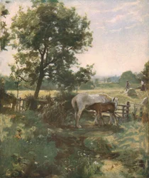 Sommertid, slutningen af det 19.-begyndelsen af det 20. århundrede, c1930.