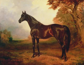 Sankt Simon, 1906