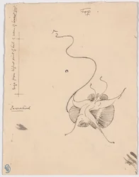 Sommerfugl "Encountered" (recto); Skitse til bagstykke (verso)