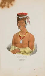 WAA-BIN-DE-BA eller den hvidhovedede ørn; en Chippeway-høvding, fra The Aboriginal Portfolio