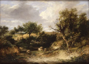 Wooded Landscape (olie på lærred)