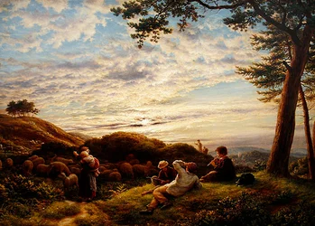 Hyrdedrenge passer deres flok ved solnedgang