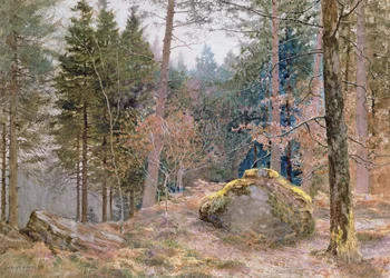 I en walisisk skov, vinter