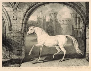 A Persian Horse, fra 