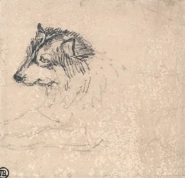 Arktisk hund, vendt mod venstre