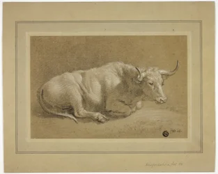 Herefordshire fed okse