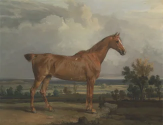 Jæger i et landskab
