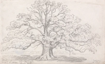 Mr. Howards store eg, 5. august 1820