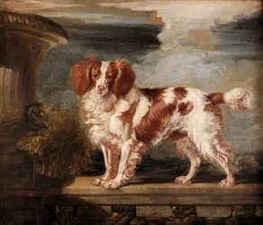 Portræt af Dash, en yndlings spaniel, ejendommen til Lady Frances Vane-Tempest