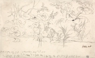 Studier af planter, 2. august 1815