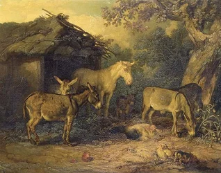 Ukendt billede