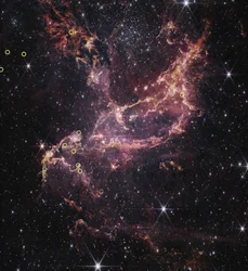 Protoplanetariske skiver i NGC 346 (billede taget med NIRCam)
