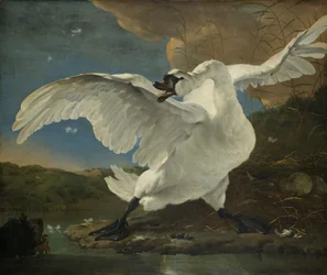 Den truede svane, c.1650