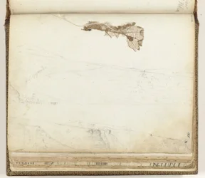 Bay Saint Helena, tørret blad