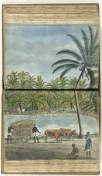 Udsigt over Ceylon med en oksekærre, en hugsiddende singaleser og en sort retsbetjent