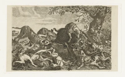 Hundejagt efter et vildsvin