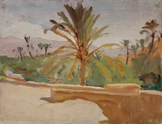 Biskra (Oase med palmer)