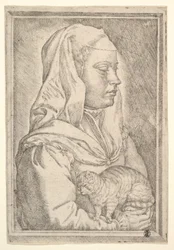Pige med en kat, 1546.