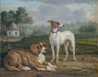 To hunde