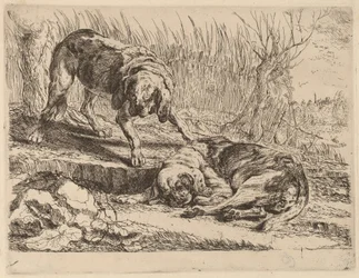 To Beagler, En Sovende