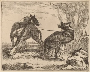 To Greyhounds, i snor og mod hinanden