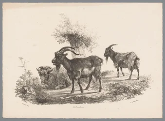 To geder og et får ved et træ Beesten Studien af ​​J. Kobell efter Paul Potter Nr. 1 (serietitel)