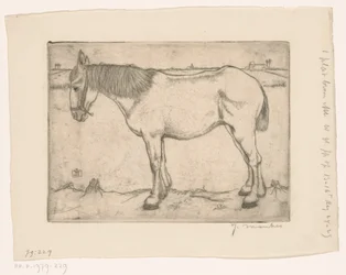 Hest
