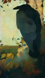 Ravn på et birketræ