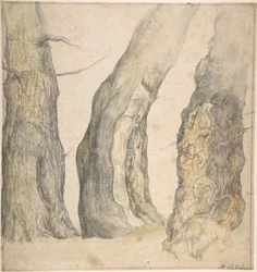 Studie af tre gamle knudrede træer, 1660.