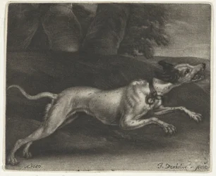 løbende hund