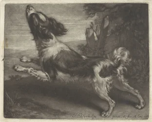 Løbende hund, muligvis en spaniel