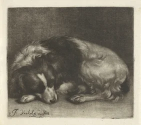 Sovende hund, muligvis en spaniel