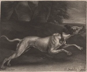 En Løbende Hund