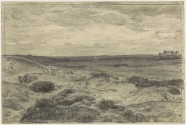 Hedelandskab nær Laren