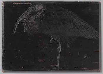 Ibis (original titel på objekt)