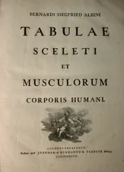 Albinus I, titelblad, fra 